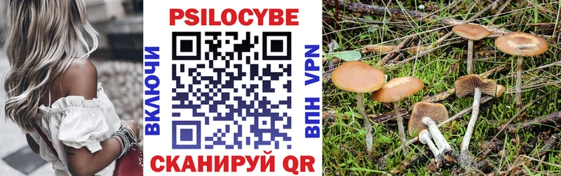 ссылка на мегу как войти  Стерлитамак  Галлюциногенные грибы Psilocybe 