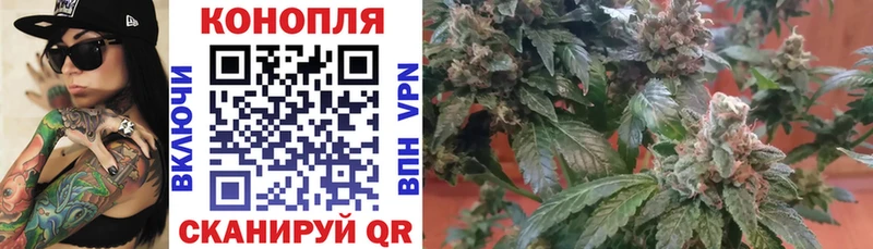 Каннабис сатива Стерлитамак